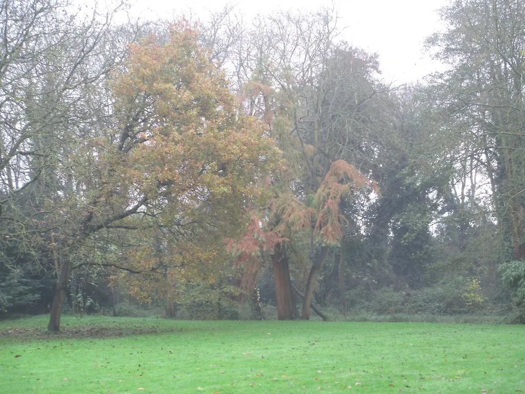 Bed & Breakfast Old Manor House Bed And Breakfast Ashford